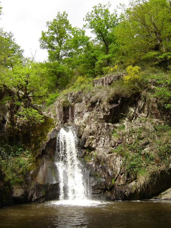 Aux 2 Puys - Gite "Le Lemptegy" Saint-Priest-des-Champs Dış mekan fotoğraf